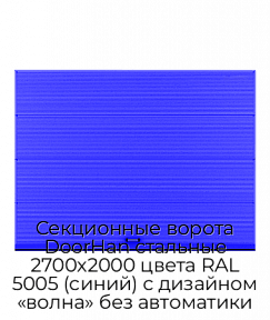 Секционные ворота DoorHan стальные 2700х2000 цвета RAL 5005 (синий) с дизайном «волна» без автоматики