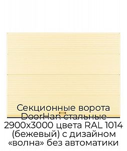 Секционные ворота DoorHan стальные 2900х3000 цвета RAL 1014 (бежевый) с дизайном «волна» без автоматики preview 1