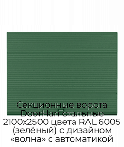 Секционные ворота DoorHan стальные 2100х2500 цвета RAL 6005 (зелёный) с дизайном «волна» с автоматикой preview 1