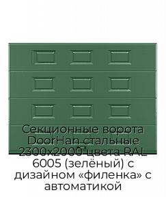 Секционные ворота DoorHan стальные 2300х2000 цвета RAL 6005 (зелёный) с дизайном «филенка» с автоматикой