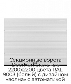 Секционные ворота DoorHan стальные 2200х2200 цвета RAL 9003 (белый) с дизайном «волна» с автоматикой