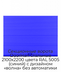 Секционные ворота DoorHan стальные 2100х2200 цвета RAL 5005 (синий) с дизайном «волна» без автоматики