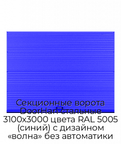 Секционные ворота DoorHan стальные 3100х3000 цвета RAL 5005 (синий) с дизайном «волна» без автоматики