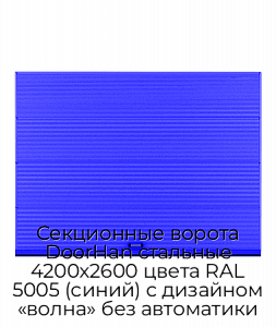 Секционные ворота DoorHan стальные 4200х2600 цвета RAL 5005 (синий) с дизайном «волна» без автоматики preview 1