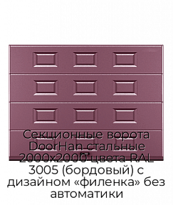 Секционные ворота DoorHan стальные 2000х2000 цвета RAL 3005 (бордовый) с дизайном «филенка» без автоматики
