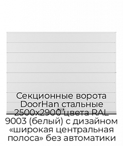 Секционные ворота DoorHan стальные 2500х2900 цвета RAL 9003 (белый) с дизайном «широкая центральная полоса» без автоматики