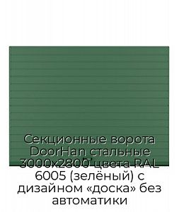 Секционные ворота DoorHan стальные 3000х2800 цвета RAL 6005 (зелёный) с дизайном «доска» без автоматики preview 1