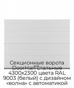 Секционные ворота DoorHan стальные 4300х2300 цвета RAL 9003 (белый) с дизайном «волна» с автоматикой preview 1