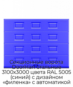 Секционные ворота DoorHan стальные 3100х3000 цвета RAL 5005 (синий) с дизайном «филенка» с автоматикой