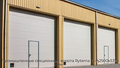 Промышленные секционные ворота Ryterna TLP 2500х5375 мм