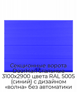 Секционные ворота DoorHan стальные 3100х2900 цвета RAL 5005 (синий) с дизайном «волна» без автоматики preview 1