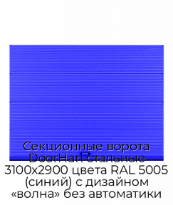 Секционные ворота DoorHan стальные 3100х2900 цвета RAL 5005 (синий) с дизайном «волна» без автоматики